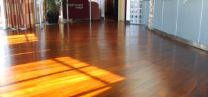 brighton-terrace-bar-floor-sanding